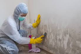 Forensic Mold Investigation in Rancho Santa Margarita, CA